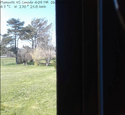 Webcam Image